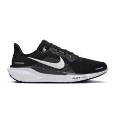 NIKE AIR MAX PEGASUS 41